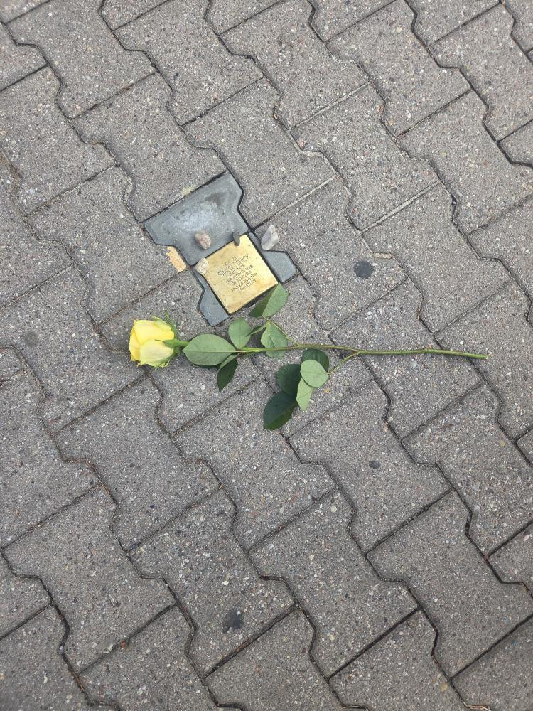 Kameny zmizelých